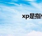 xp是指什么意思（xps文件）