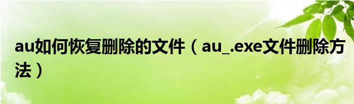 au如何恢复删除的文件（au_.exe文件删除方法）