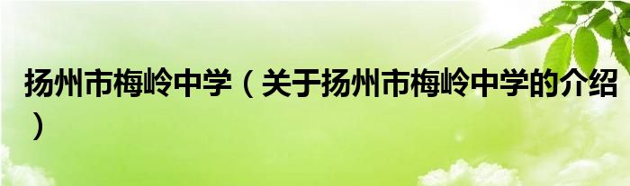 扬州市梅岭中学（关于扬州市梅岭中学的介绍）