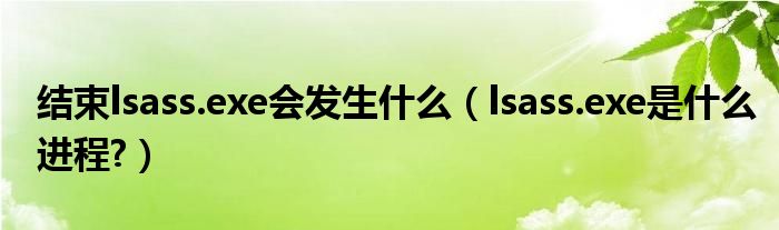 结束lsass.exe会发生什么（lsass.exe是什么进程?）