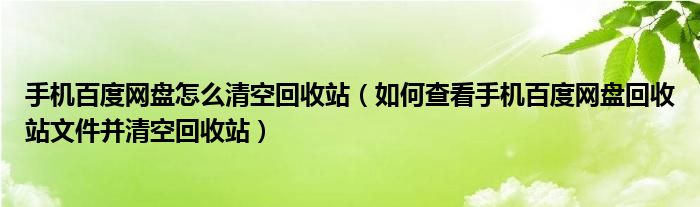 手机百度网盘怎么清空回收站（如何查看手机百度网盘回收站文件并清空回收站）