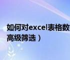 如何对excel表格数据进行高级筛选（Excel如何对数据进行高级筛选）