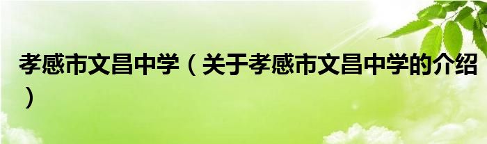 孝感市文昌中学（关于孝感市文昌中学的介绍）