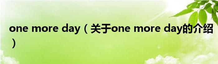 one more day（关于one more day的介绍）