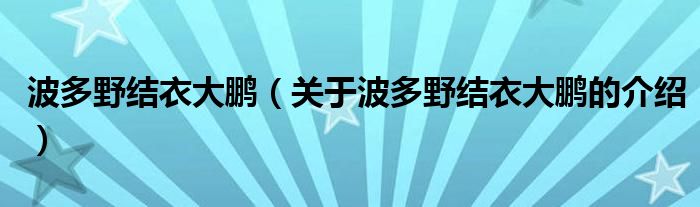 波多野结衣大鹏（关于波多野结衣大鹏的介绍）