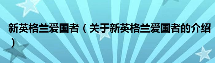 新英格兰爱国者（关于新英格兰爱国者的介绍）