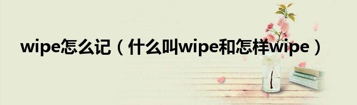 wipe怎么记（什么叫wipe和怎样wipe）