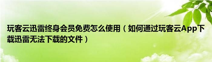 玩客云迅雷终身会员免费怎么使用（如何通过玩客云App下载迅雷无法下载的文件）