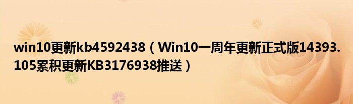 win10更新kb4592438（Win10一周年更新正式版14393.105累积更新KB3176938推送）