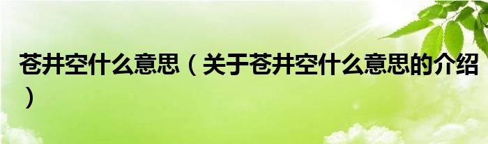 苍井空什么意思（关于苍井空什么意思的介绍）