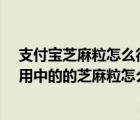 支付宝芝麻粒怎么得?芝麻粒获得方法介绍（支付宝芝麻信用中的的芝麻粒怎么获得）