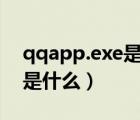 qqapp.exe是什么进程（qqpcrtp.exe进程是什么）