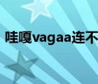 哇嘎vagaa连不上网（哇嘎vagaa搜索技巧）