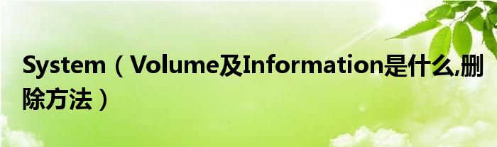 System（Volume及Information是什么,删除方法）