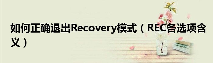 如何正确退出Recovery模式（REC各选项含义）