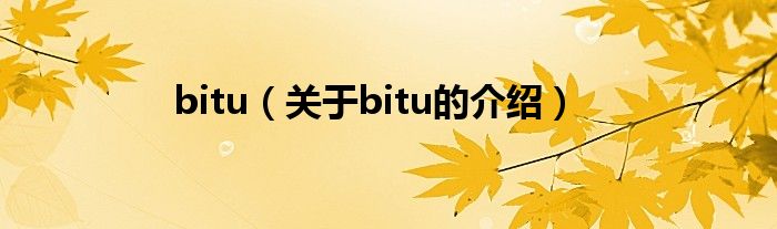 bitu（关于bitu的介绍）