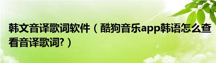 韩文音译歌词软件（酷狗音乐app韩语怎么查看音译歌词?）