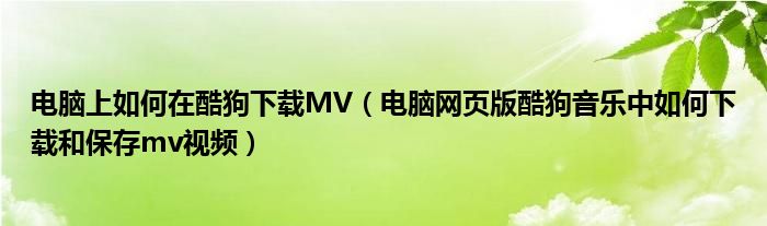 电脑上如何在酷狗下载MV（电脑网页版酷狗音乐中如何下载和保存mv视频）