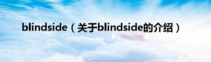 blindside（关于blindside的介绍）