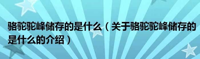 骆驼驼峰储存的是什么（关于骆驼驼峰储存的是什么的介绍）