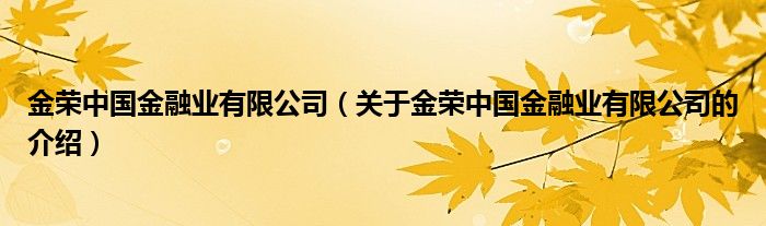 金荣中国金融业有限公司（关于金荣中国金融业有限公司的介绍）