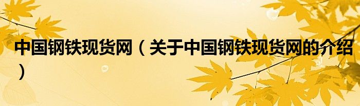 中国钢铁现货网（关于中国钢铁现货网的介绍）