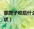 草爬子咬后什么症状图片（草爬子咬后什么症状）