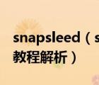 snapsleed（snapeee怎么用?Snapeee使用教程解析）