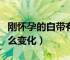 刚怀孕的白带有什么变化吗（刚受孕白带有什么变化）