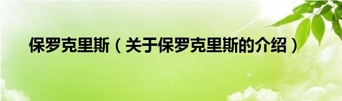 保罗克里斯（关于保罗克里斯的介绍）