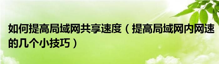 如何提高局域网共享速度（提高局域网内网速的几个小技巧）