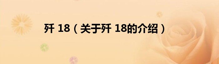 歼 18（关于歼 18的介绍）