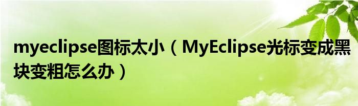 myeclipse图标太小（MyEclipse光标变成黑块变粗怎么办）