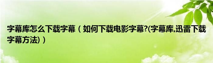 字幕库怎么下载字幕（如何下载电影字幕?(字幕库,迅雷下载字幕方法)）