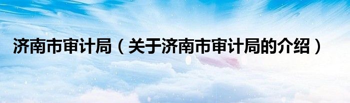 济南市审计局（关于济南市审计局的介绍）