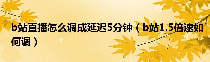 b站直播怎么调成延迟5分钟（b站1.5倍速如何调）