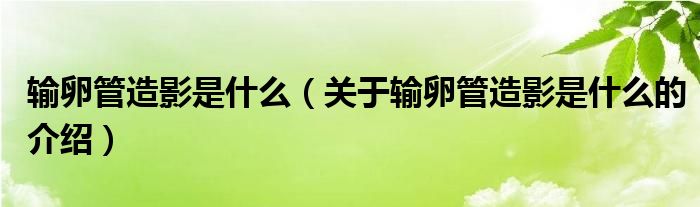 输卵管造影是什么（关于输卵管造影是什么的介绍）