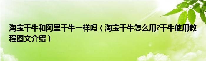 淘宝千牛和阿里千牛一样吗（淘宝千牛怎么用?千牛使用教程图文介绍）