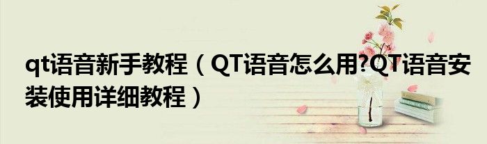 qt语音新手教程（QT语音怎么用?QT语音安装使用详细教程）