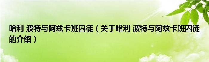 哈利 波特与阿兹卡班囚徒（关于哈利 波特与阿兹卡班囚徒的介绍）