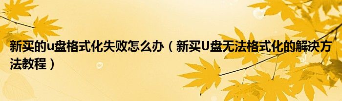 新买的u盘格式化失败怎么办（新买U盘无法格式化的解决方法教程）