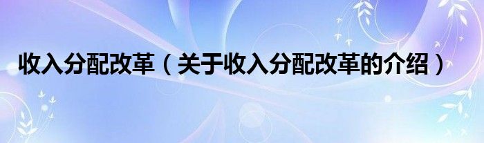 收入分配改革（关于收入分配改革的介绍）