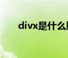 divx是什么牌子（DIVX是什么格式）