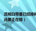 透明白带是已经排卵了还是正在排（白带透明拉丝是排卵了还是正在排）