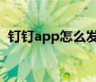 钉钉app怎么发邮件?（钉钉发钉邮的技巧）