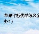 苹果平板优酷怎么全屏播放（优酷播放器不能全屏播放怎么办?）