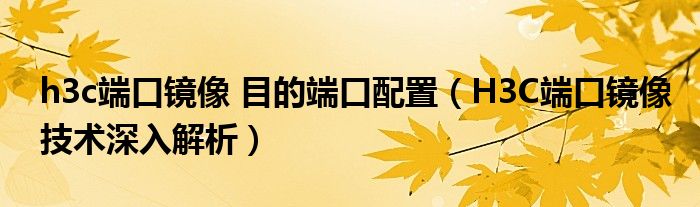 h3c端口镜像 目的端口配置（H3C端口镜像技术深入解析）