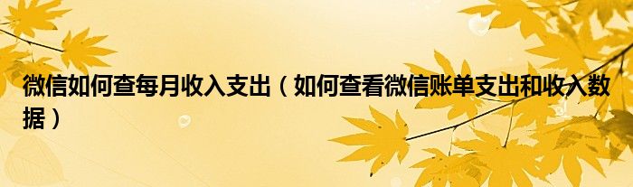 微信如何查每月收入支出（如何查看微信账单支出和收入数据）