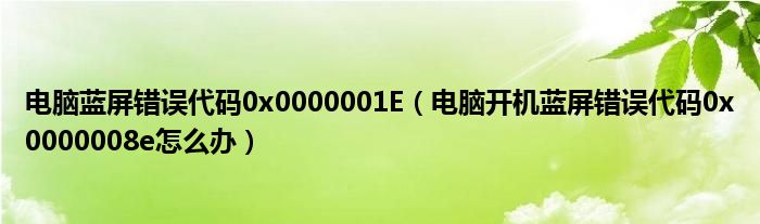 电脑蓝屏错误代码0x0000001E（电脑开机蓝屏错误代码0x0000008e怎么办）