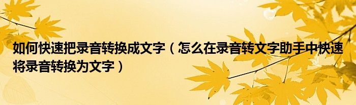 如何快速把录音转换成文字（怎么在录音转文字助手中快速将录音转换为文字）